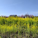 今年度もお疲れ様でした！