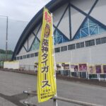 阪神タイガース